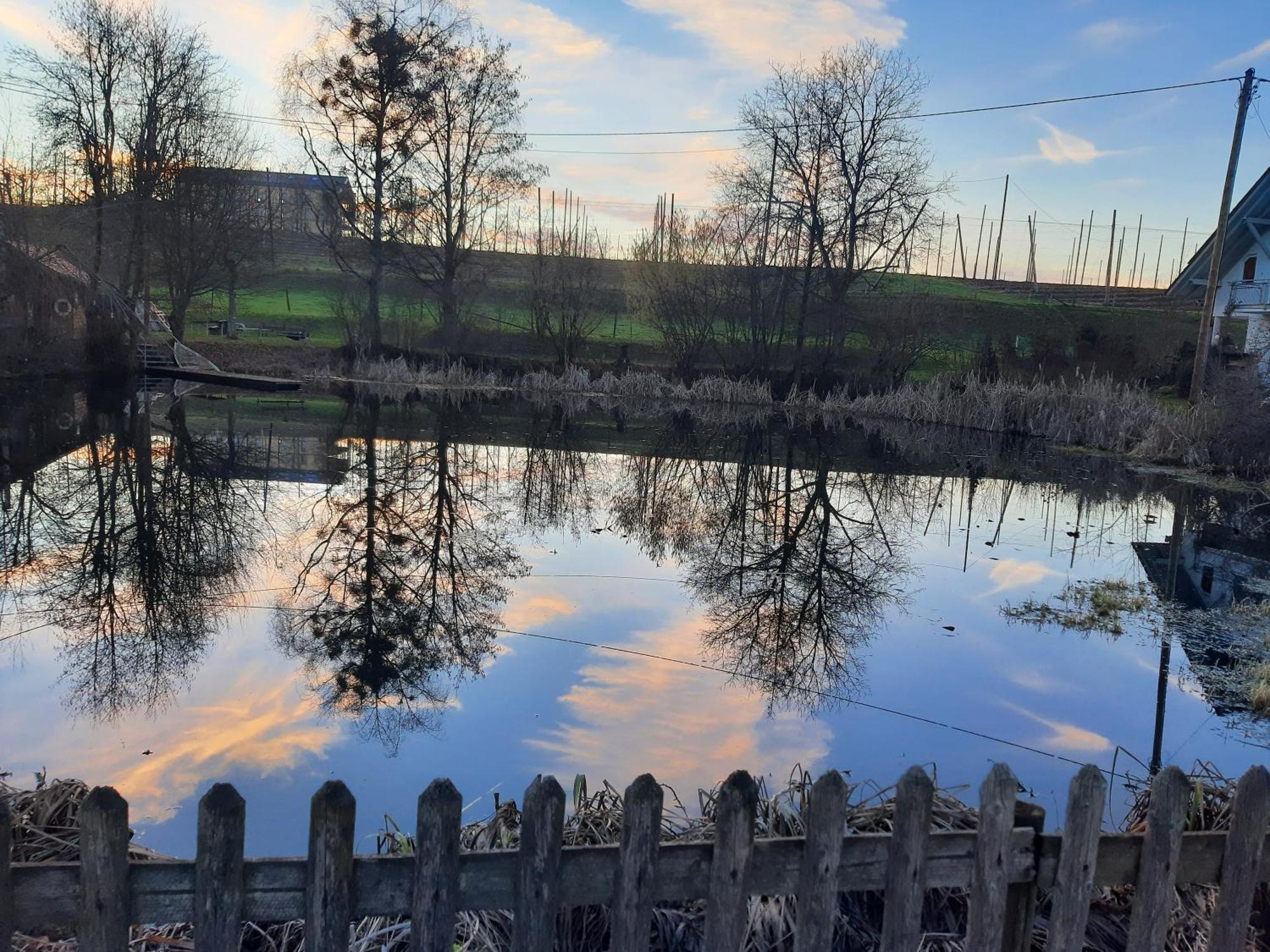 Am Dorfweiher 泰特南 外观 照片